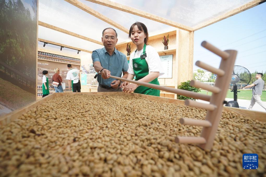 连环夺宝打小分